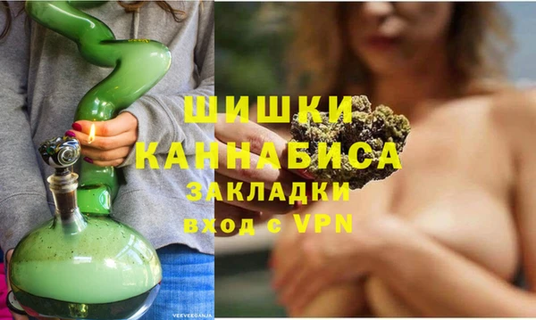 стафф Богданович